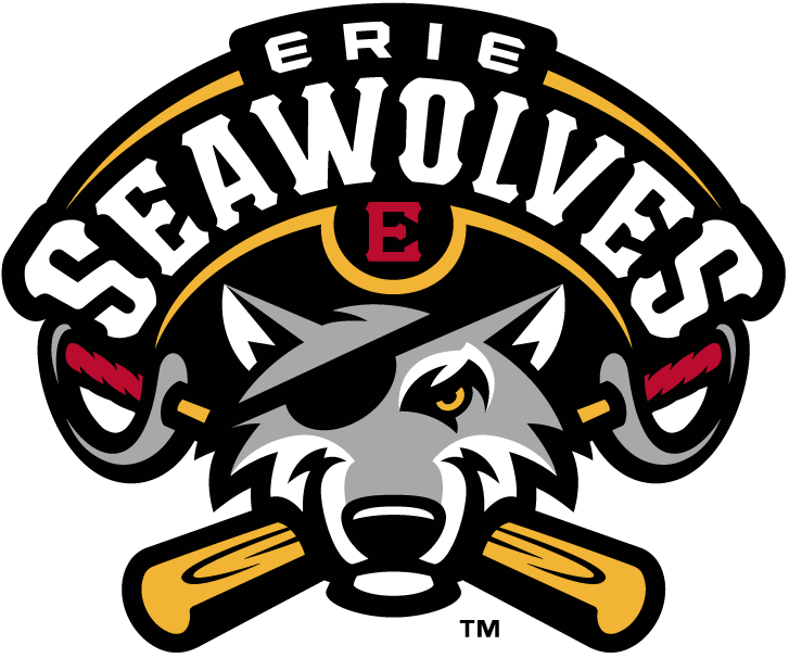 Erie SeaWolves 2013-Pres Primary Logo iron on transfers for T-shirts